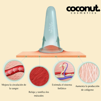 Ventosa facial